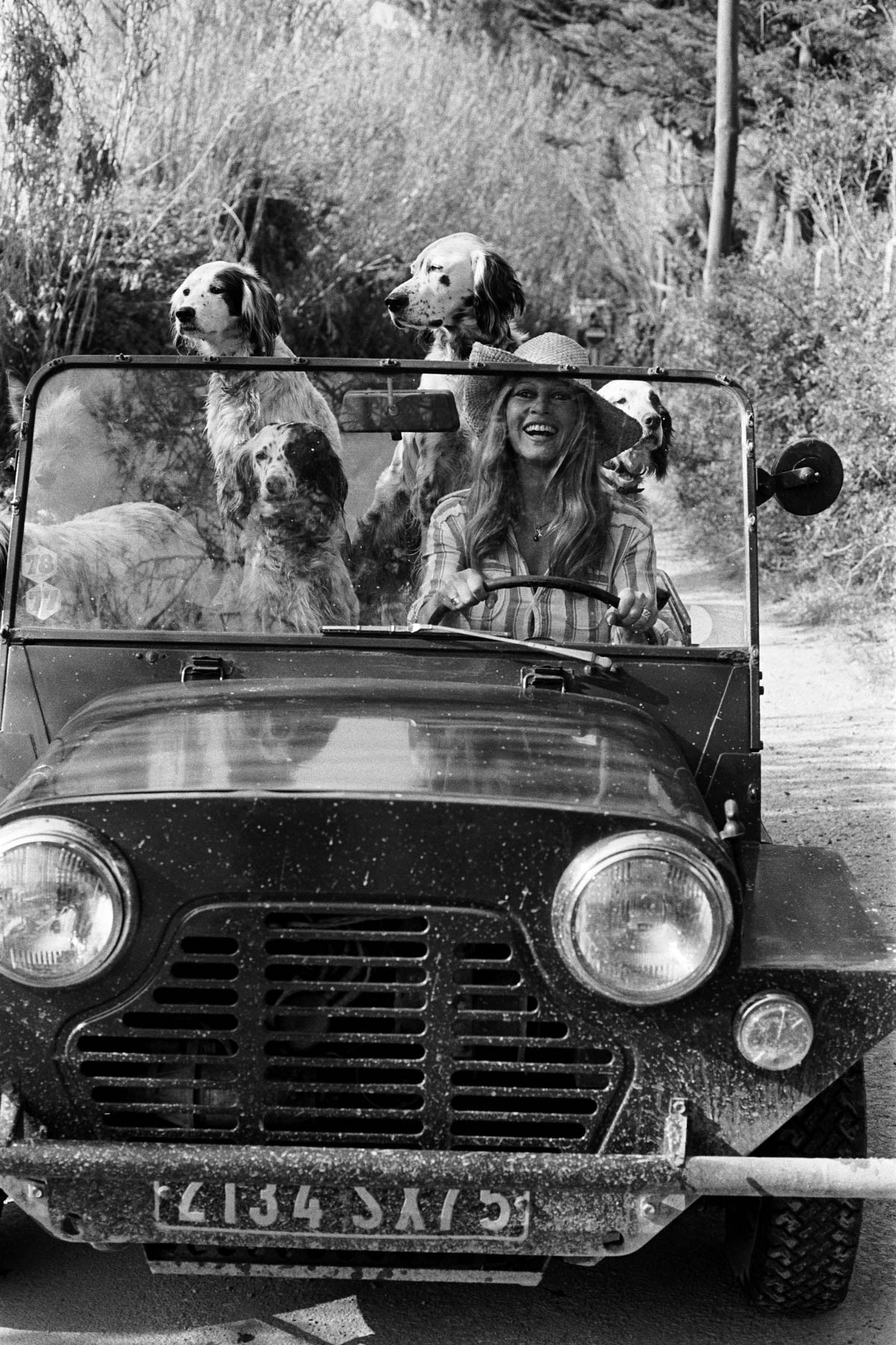 Brigitte Bardot driving her MINI Moke with her beloved dog